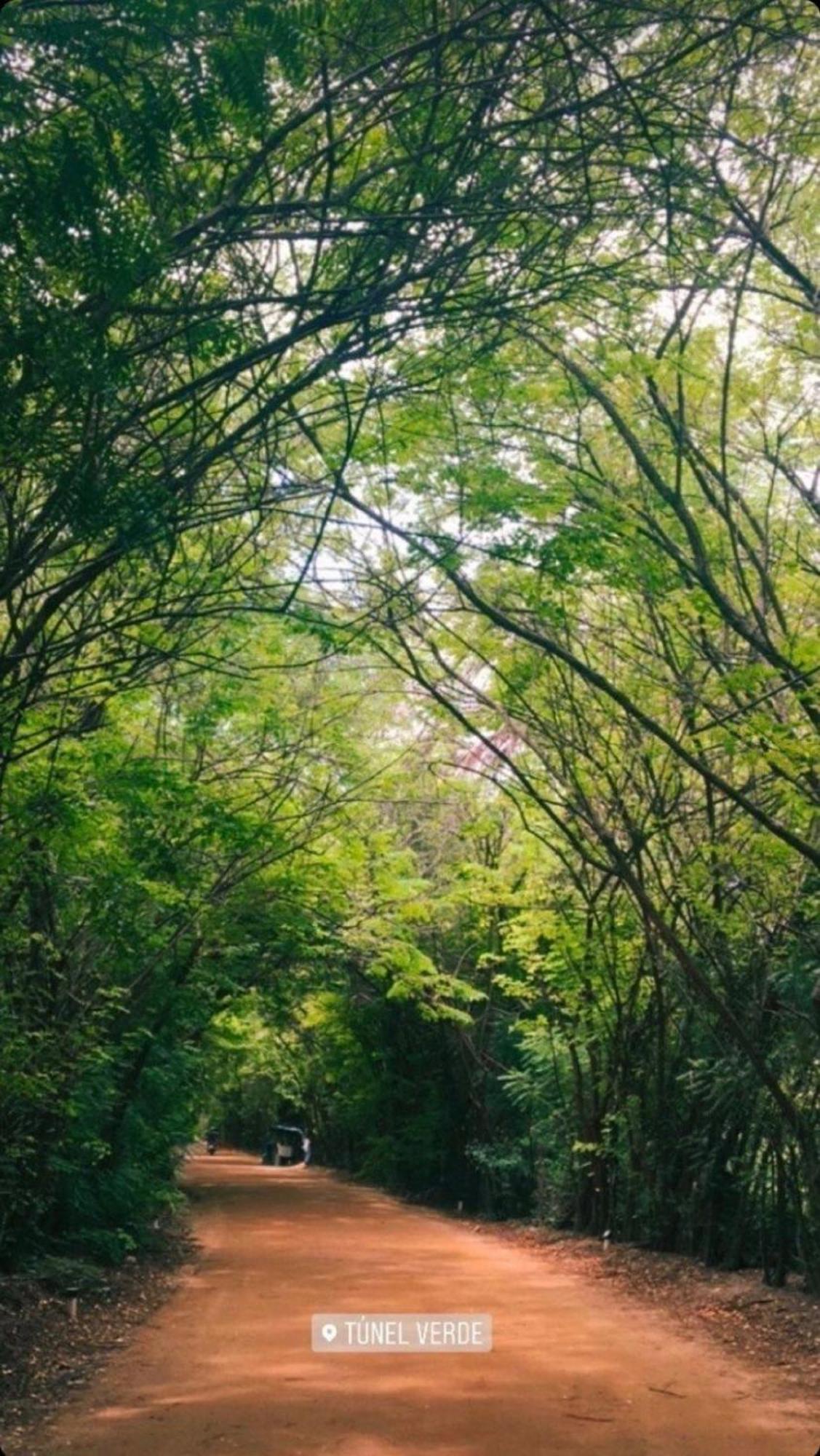 Vila Casa Conchas Do Patacho Pôrto de Pedras Exteriér fotografie